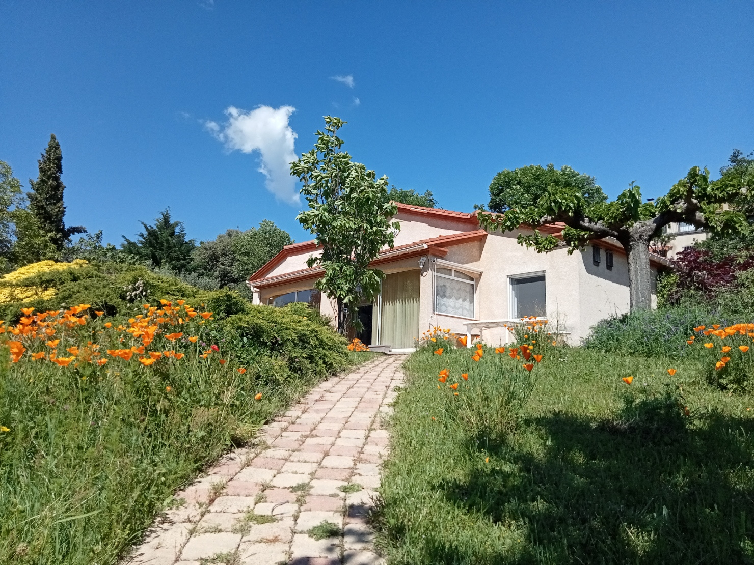 Agence immobilière de AGENCE IMMOTECH