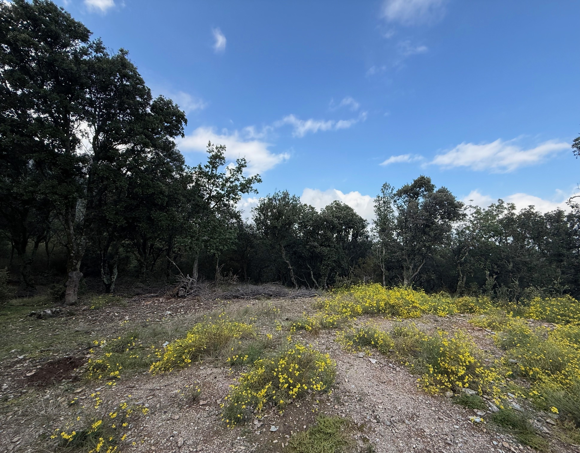 Agence immobilière de AGENCE IMMOTECH