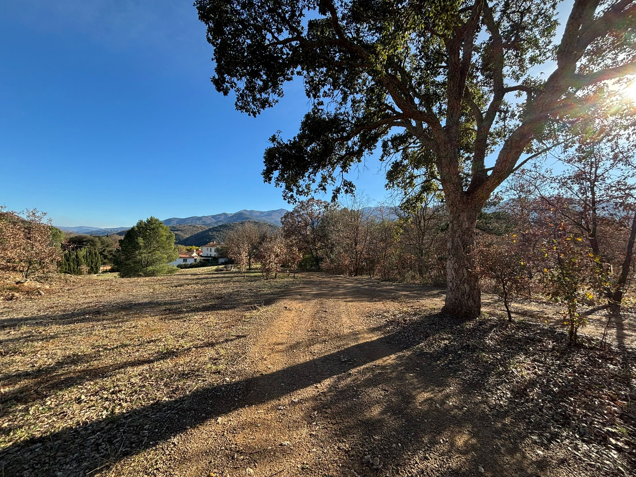 Agence immobilière de AGENCE IMMOTECH