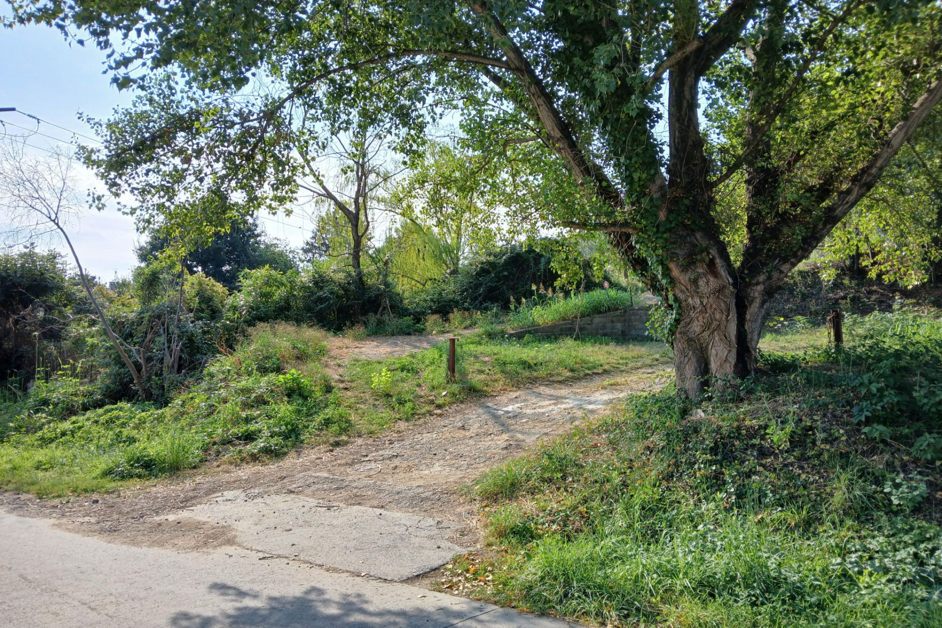 Agence immobilière de AGENCE IMMOTECH