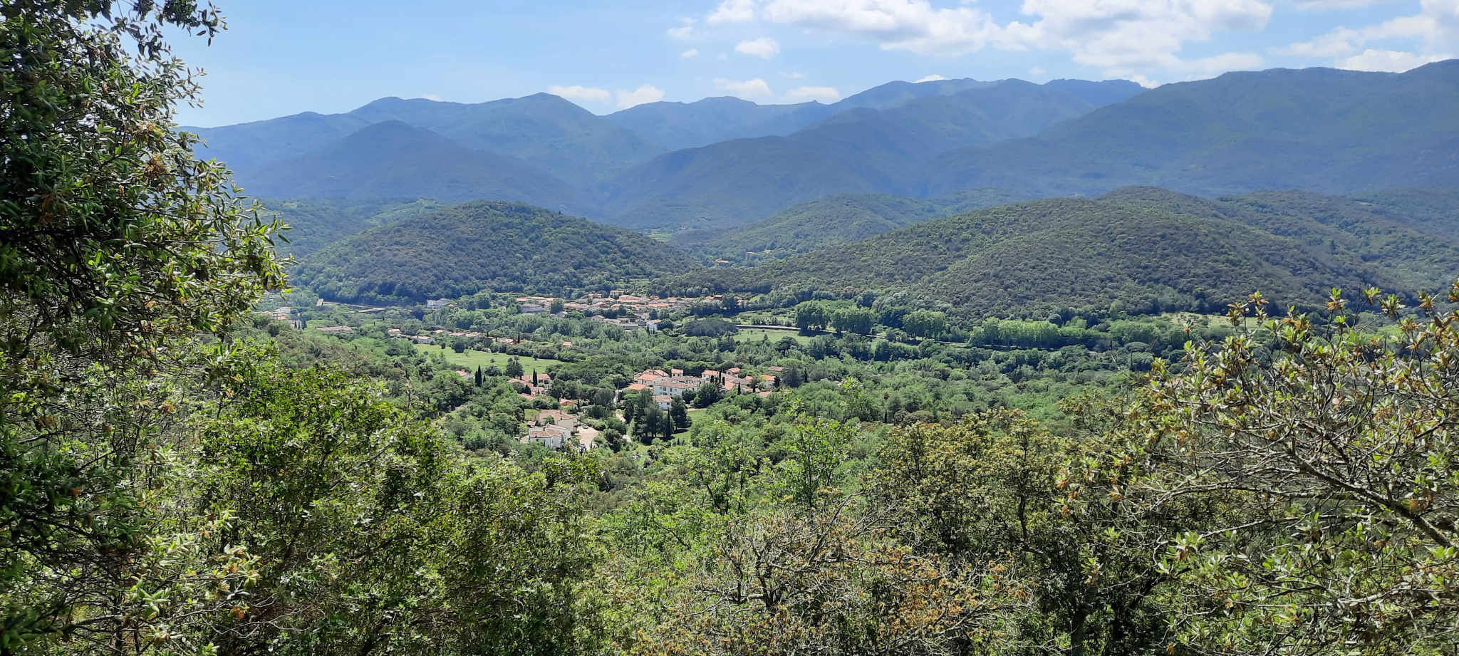 Agence immobilière de AGENCE IMMOTECH