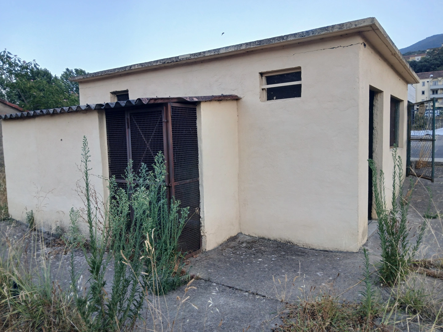 property